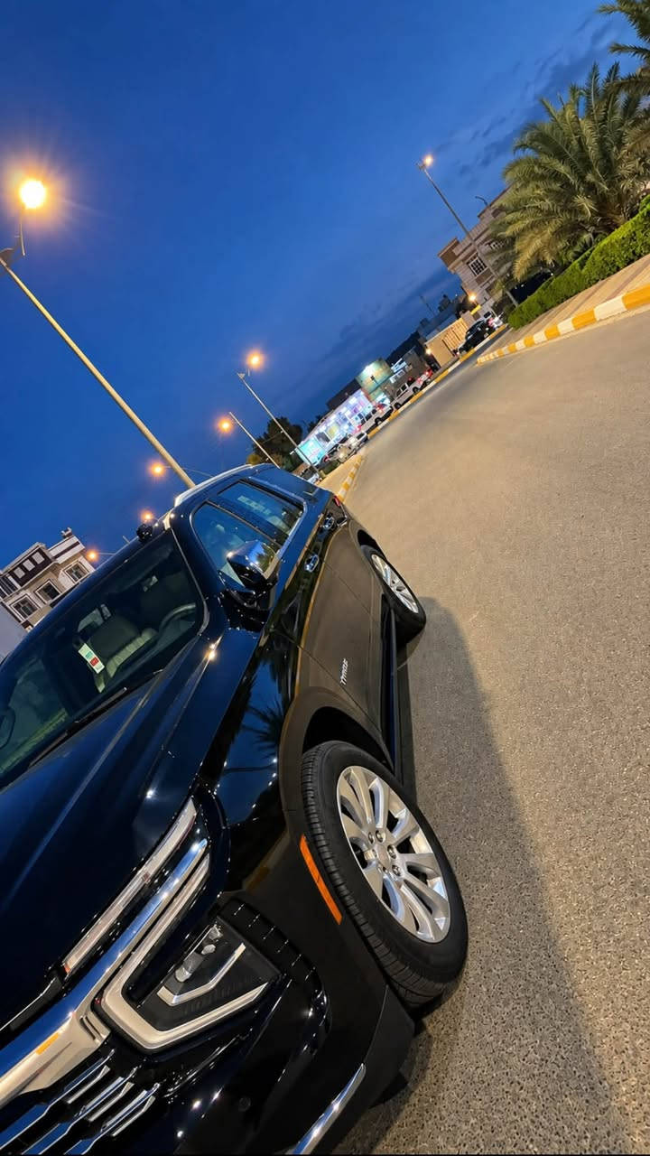 تاهو برايمر • ٢٠٢٥ • الرمادي