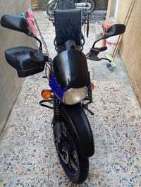 بوكسر • جبلي • مرقم