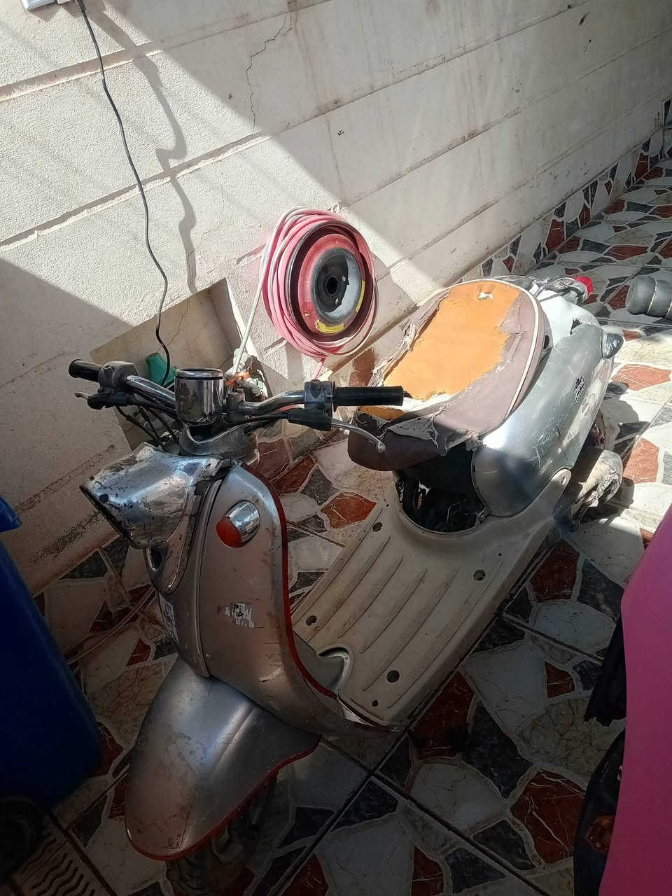 نثيه • شغاله • مستعجل