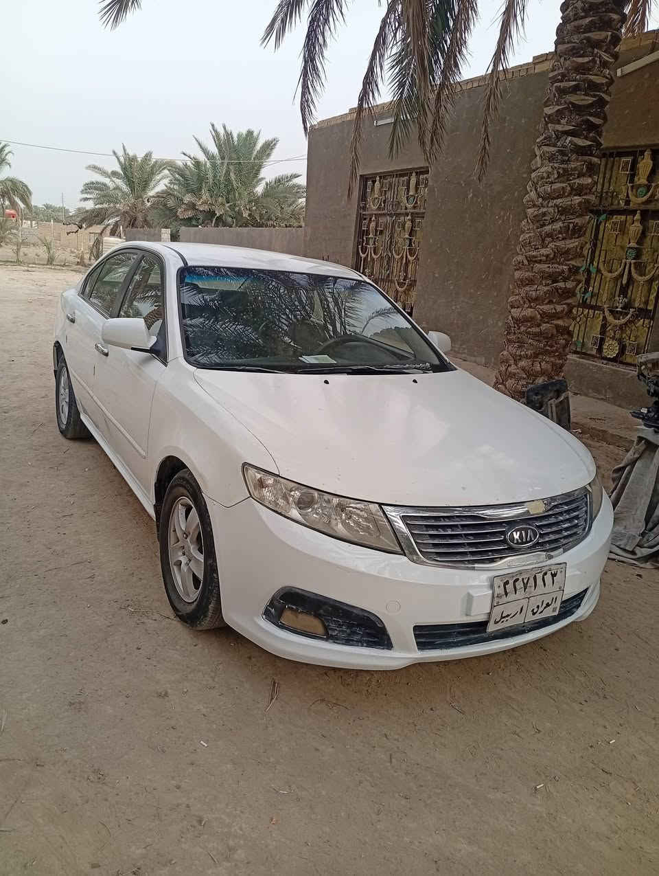 اوبتيما • بابل • ورقه