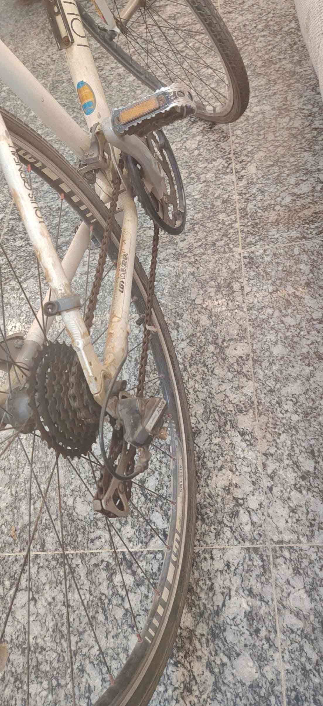 لويس گارنيو • مقاس ٢٨ • بريك امامي عاطل