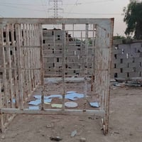 شباب عدي محجر كيه فحل للبيع شراي بيك خير ودلل تصل أو   تواصل وتساب 078...