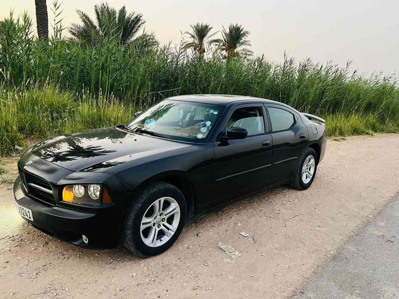 لا توجد تفاصيل
