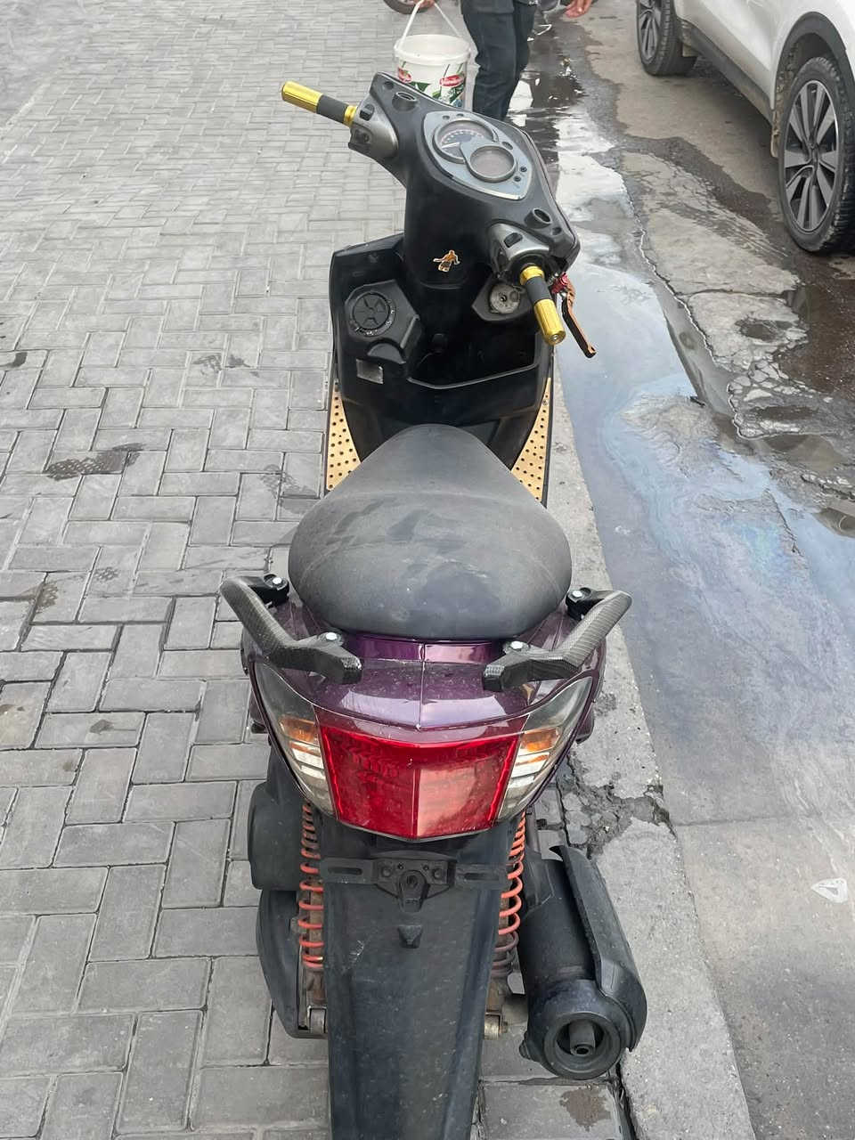 سكنس فحل • كابريتر • مكفولة