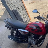 بوكسر جبلي • موديل ٢٣ • مكفول