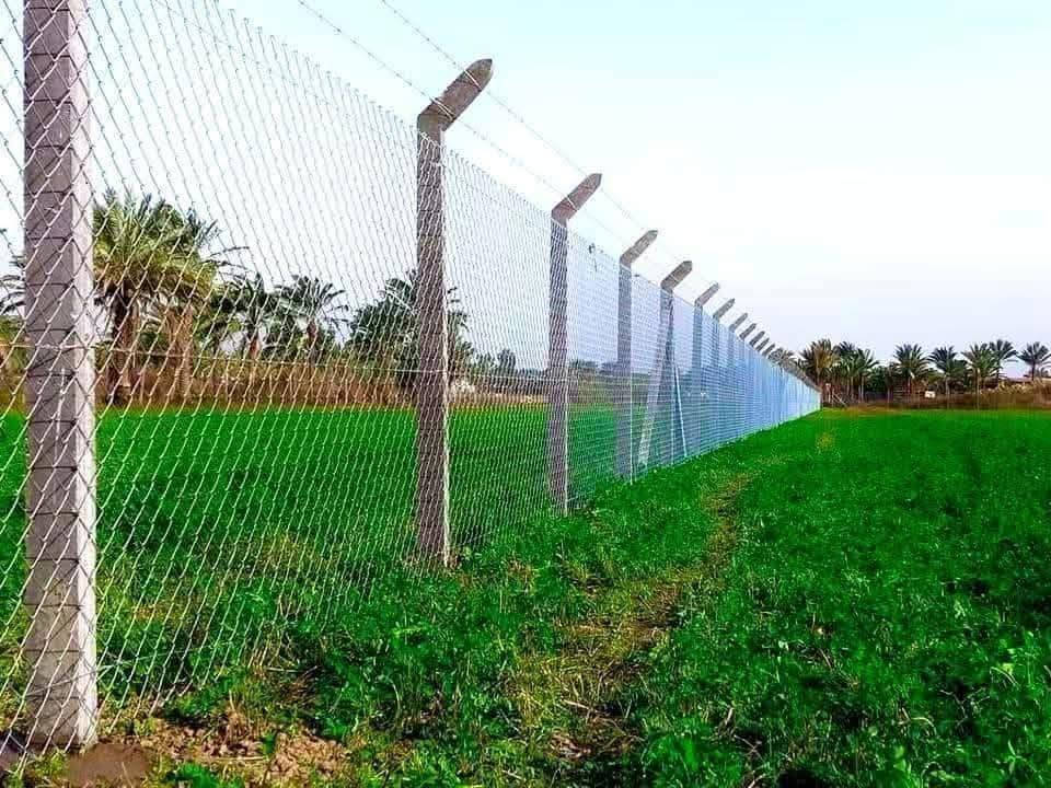 🏗️✨ شركة الهندسة ✨🏗️
خبرة وجودة بأسعار تناسب الجميع
تعلن شركة الهندسة عن تجهيز وتنفيذ:
✅ أسـيجة BRC بكافة الأنواع
✅ أسـيجة الجينكو الحديثة
✅ الأسيجة العشبية الخضراء 🌿
✅ تصميم وتنفيذ الحدائق
✅ إنشاء وتجهيز الملاعب الخماسية ⚽
💥 أسعار تبدأ من 4000 دينار للمتر الطولي
📌 حسب المواصفات والمساحة المطلوبة
🔹 خامات قوية وعمر طويل
🔹 تنفيذ بإشراف هندسي
🔹 دقة وسرعة بالعمل
🔹 أسعار منافسة وخدمة مميزة
📞 للاستفسار والحجز:
***********
شركة الهندسة — ثقة وجودة بكل تفصيل

نص مكتوب في الصور:
- HONOR X9c