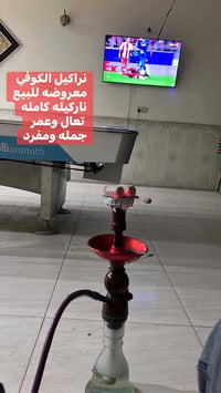 ٤٠ ناركيله • ناركيلة كاملة • جملة ١٥