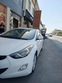 النترا ٢٠١٣ • مكفولة • ظربة وصبغ