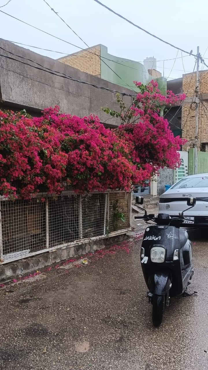 ماكس بوليس للبيع 
مكفوله محرك 
مماشيه قليل 
سعر 800 
مكان غزاليه
*********** واتساب

