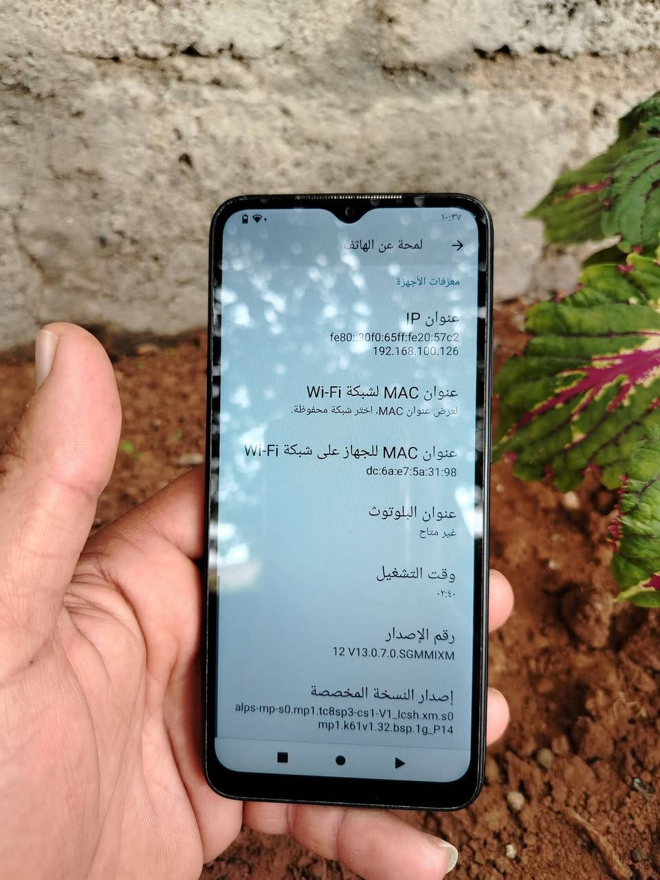 شغال • بدون عيب • اربيل بنصلاوي