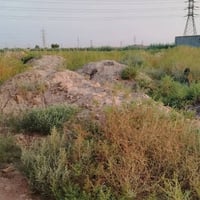🏡 فرصة عقارية مميزة وسعر مناسب جدا في حي المتنبي ب7 مليون وقابل للتفاو...