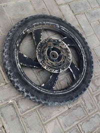 جونده • ويل امامي • تاير مفطر