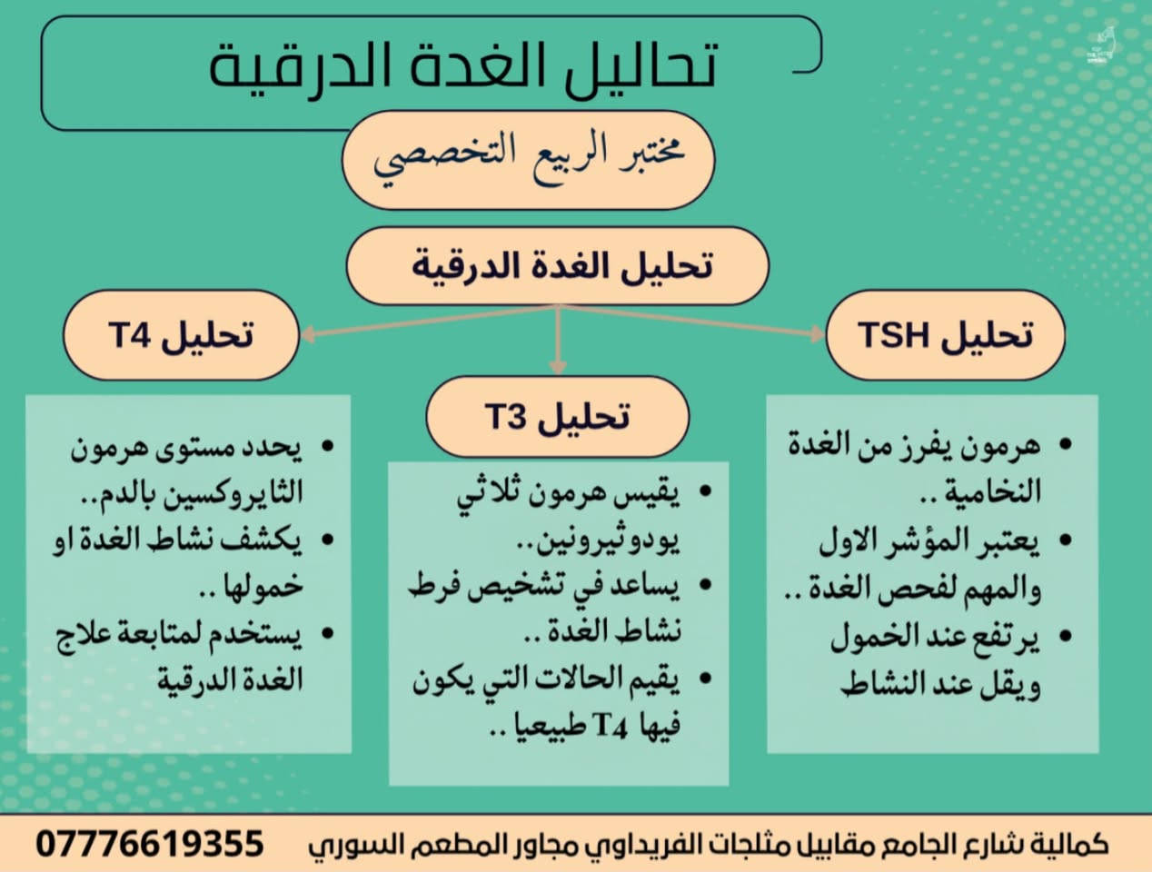 مختبر الربيع التخصصي للتحليلات المرضية الكمالية شارع الجامع مقابيل مثلجات الفريداوي مجاور المطعم السوري 
للتواصل والاستفسار  تواصلو وياي ع الرقم 
***********
