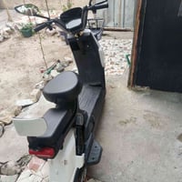 نظيفه • البساتين • بغداد