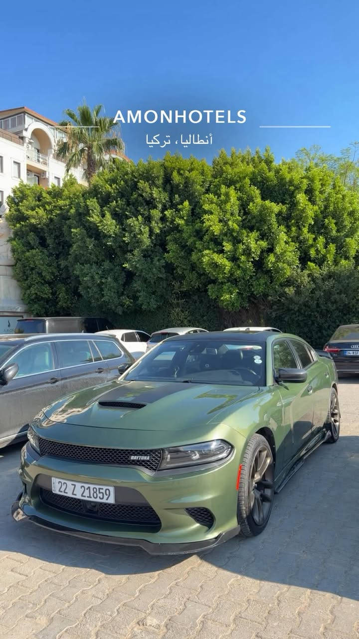 دايتونا • هيمي V8 • رقم اربيل