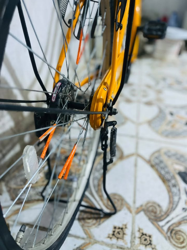 باسكل • نضافه ٩٨٪ • نجف حيدريه