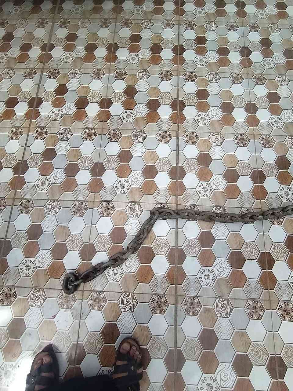 سنسله • ٤متر • امريكية الصنع
