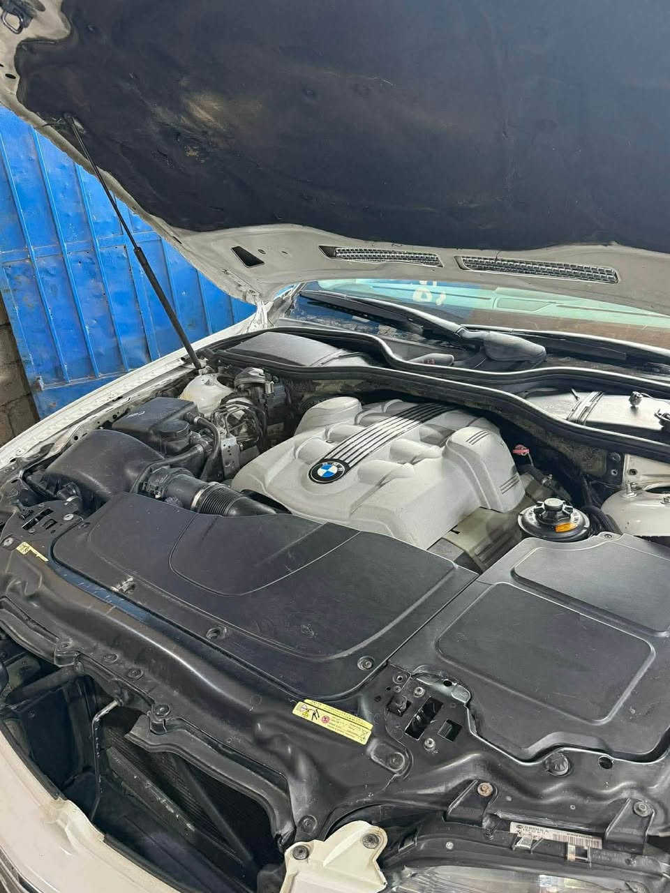 BMW 745li
مويل اصل 2004
بيع او مراوس

محدثه بالكامل 2008 

فتحة سقف كشنات تحكم كهرباء بالكامل 

حساسات امامي خلفي 

امامي خلفي 

تبريد تدفئة مقاعد 

تبريد 3قطع 

بردات 5 

غرفه شاده جديده لون اسود 

صندوك كامل جديد 

صدر امامي خلفي بالجيس 

دبلات جدد عدا الاماميات 70‎%‎ 

انكل ستيرن مع ستيرن مع المجموعه بالكامل مع البرمجه كله جديد ABS جديد مع عمبار 

راديترات مع براد الكير جديد 

جاينات كامله تخم كامل جديد 

مي زيتي اصلي 

شوته وفلاتر جدد 

فلتر بانزين جديد

بلكات نوزلات شجره ومجاول كامله مال وارد ياباني بالكارتون 

فيت بم + عبوه جدد

باتري جديد قبل شهر شديته 

محرك جديد شاده قطره ماينقص 

تخم ويل ابو سيوف جديد شاده مع السبير 

تايرات جدد ‎%‎75

لايتات جدد داينمك 

كاردن جديد اكسن جديد درايمات جدد 

هاند بريك بي ماطور واكف ومشتري وكامل عند احمد ديوانية 

دوسات جدد موجودات ويه السياره تاخذهن 

بجم كبس كامل مشتري قبل شهر 

السياره بيه قطع التحديث مبدلات ومصبوغات مع رصعات بالقماره واضحات بالصور كلش بسيطات 

وحادثه جاملغ امامي للتذكير السياره وكاله فقط مرمزه 13 بسنوية معفيه كمرك وضريبه بس ينفتح القرار تنزله مصفره غرامات وحجز وكلش سليمه 

معمره تعمير من الصفر كلشي بيه مبدله ع ايدي 

السعر85 وبيه مجال بسيط كلش ماكو هيج نضافه بهيج سعر 

***********

