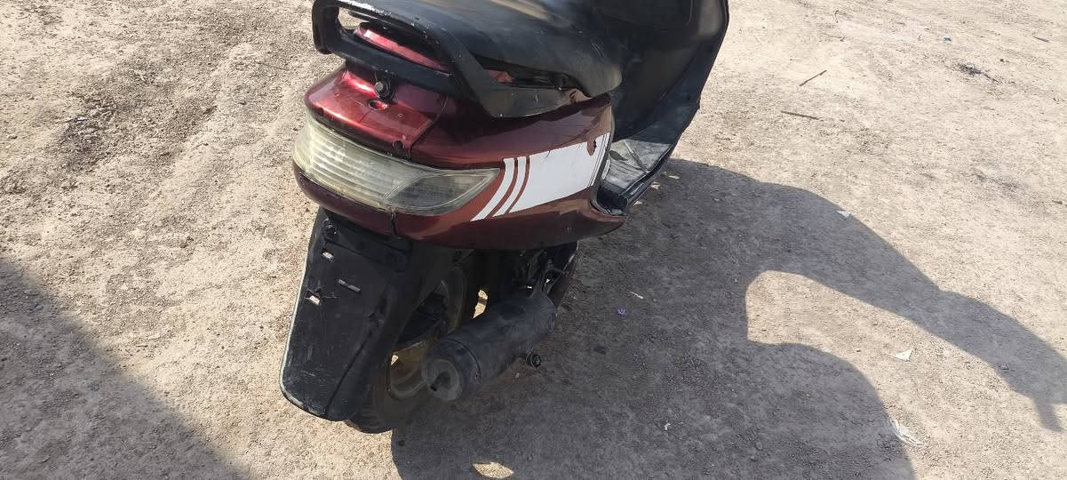 سلام عليكم فراشة فحل للبيع السعر 350 وبيها مجال الرقم ***********
