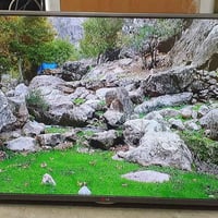 LG • ٤٢بوصة • غير سمارت