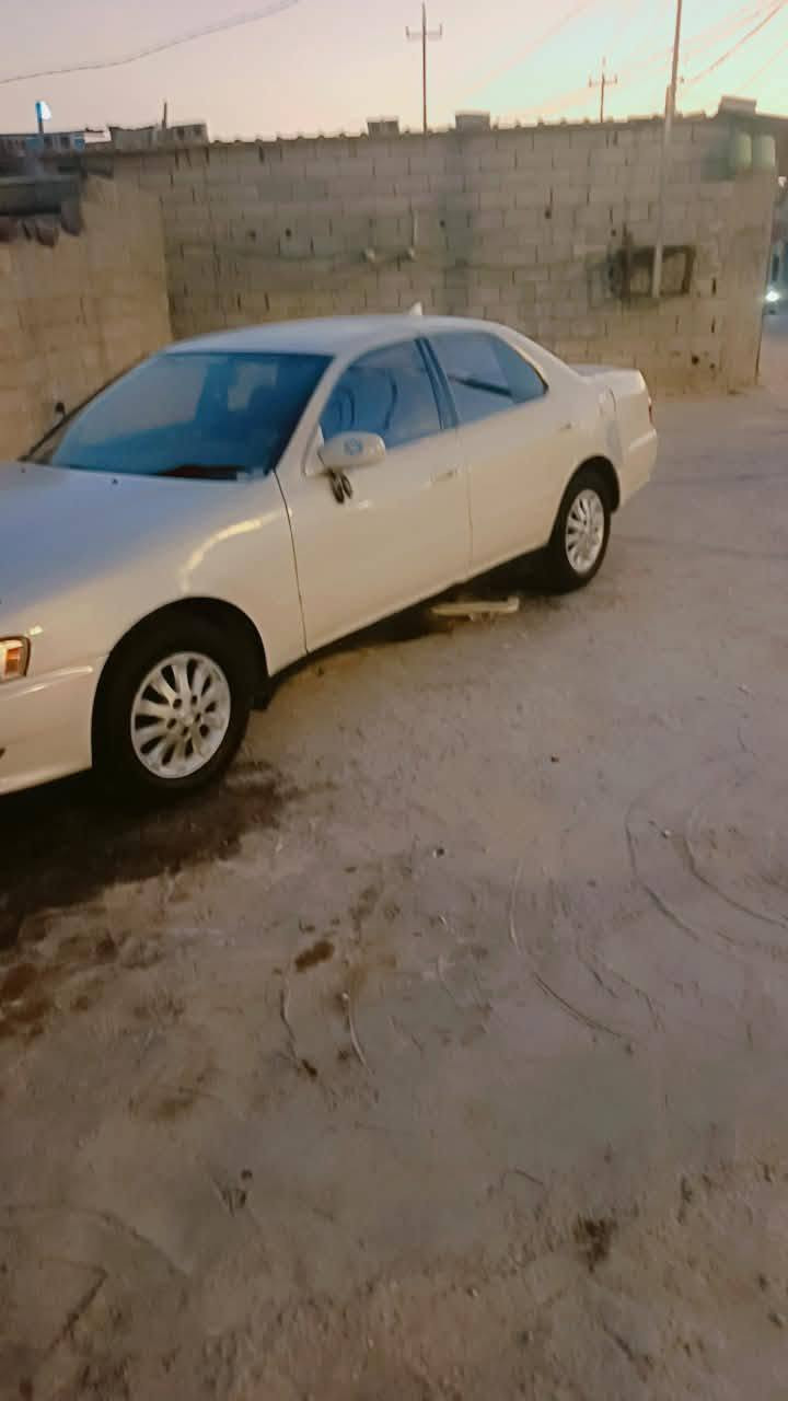 كرسته اصوليه مكفولة من نقل جثه ولمكصوص  بيها طخات قليله راعيها شرعي البصره السلمك راعيها الاصلي بيها ضعف بل محرك موديل 95 سعر 48
***********
كرسته اصوليه مكفولة من نقل جثه ولمكصوص  بيها طخات قليله راعيها شرعي البصره السلمك راعيها الاصلي بيها ضعف بل محرك موديل 95 سعر 48
