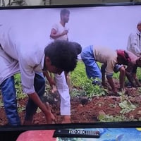 شاشة كوموتيل ٤٣ • بدون نت • بغداد الجديدة