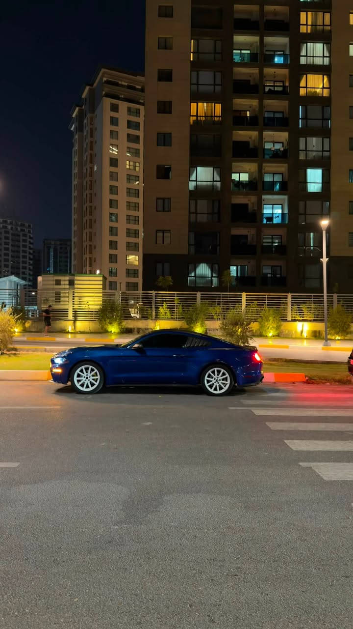 موستنك 
ايكو بوست السيارة نصبتها نصبت GT 
موديل 2018 
محرك 2.3 تيربو
ماشيه 63mi
شباك RTR 
ويالة 19 
تبريد ثلج ثلج
مواصفات الايكو المعروفة 
كامرة خلفية 
تحكمات ستيرن 
جامات اوتو 
السيارة عليها سستم انارة داخلية 
حادثة مرفق بالمنشور حادث تافة كلش مال زحلكة
وبالعراق صار بيها ضربة بالجاملغ الخلفي 
رقم بغداد الانكليزي 
باسمي تحويل ثاني يوم 
للبيع او مراوس بسيارة كوري 
للاستفسار 
***********
