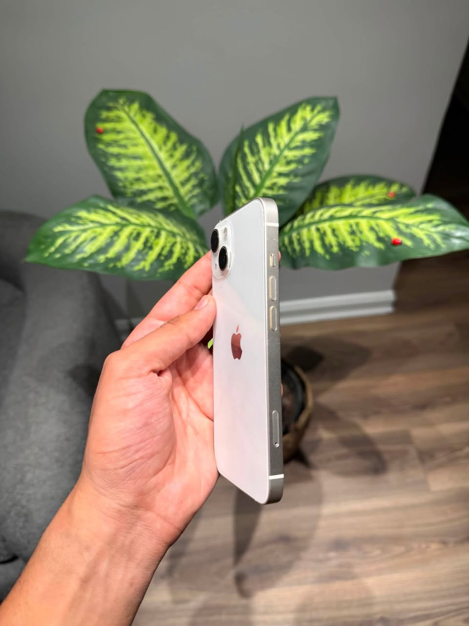 iPhone 13
- ذاكرة ١٢٨
- بطارية ٨٥
- تك SIM
- وتر بروڤ
- مكفول كفالة عامة 
- شرق اوسط A/AA

📍بابل

للإستفسار خاص او الاتصال 
***********

السعر ٤٧٥
