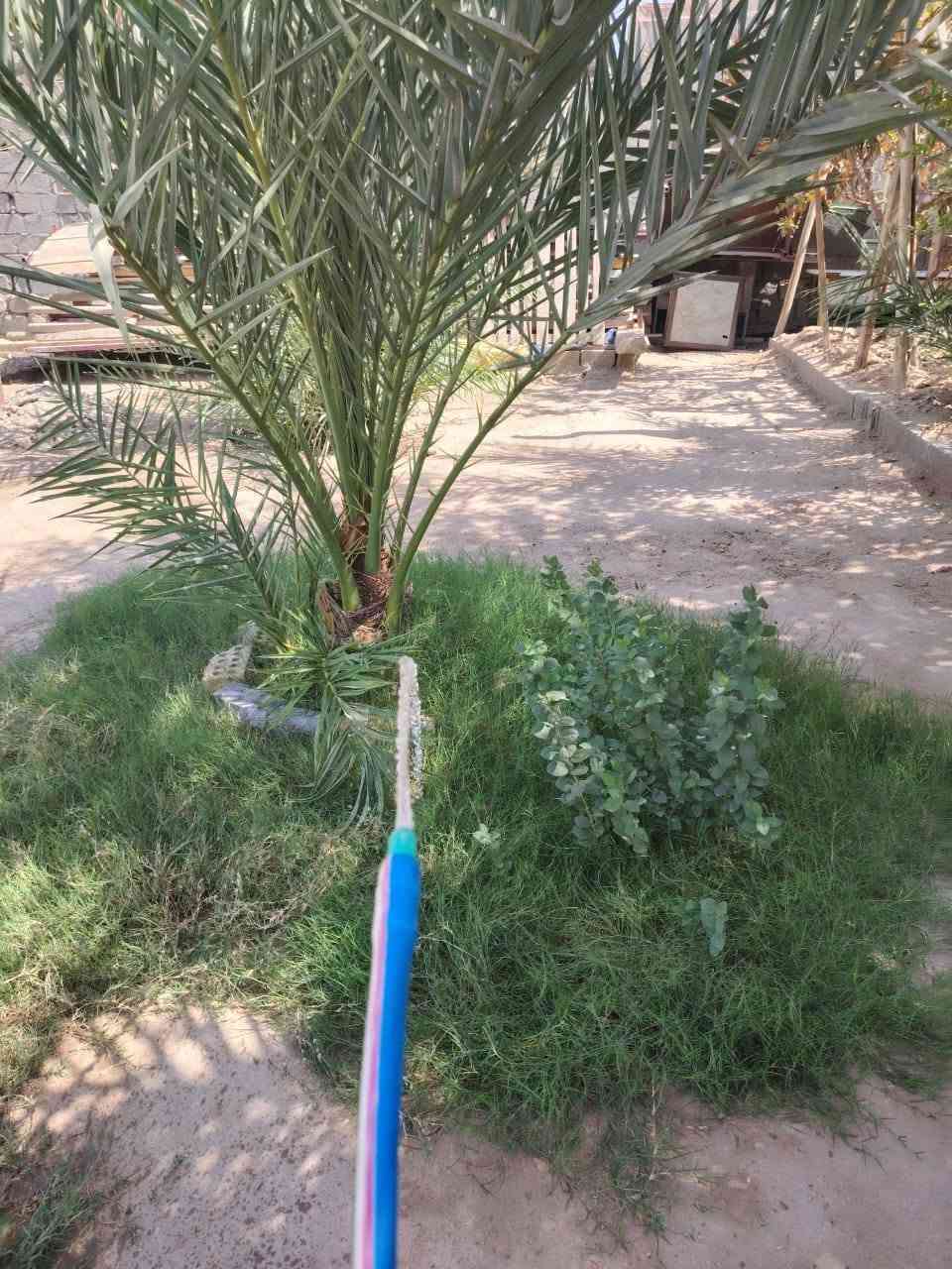 اعلان( 43)
🏘️ دار + قطعة بمساحة 900 م في شارع ابو مهدي المهندس
🚨معلومات العقار  
🟣جنس العقار:  دار
🟣مساحة: 900 م    
🟣 الواجهة: 17٫5م 
🟣 النزال: 52 م          
🟣 عمر البناء :  6 
🟣سند:  طابو زراعي 25  
🟣 الصور في اول تعليق                
🔴 السعر : 420 مليون وبي مجال
🟣موقعه بالضبط:  شارع ابو مهدي المهندس بالقرب من مجمع جنة السلام 
🟣للتواصل والاستفسار مراسلة الصفحة او الرقم ***********
