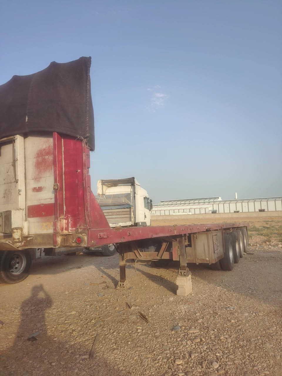 عربانة • مكفولة • شرط