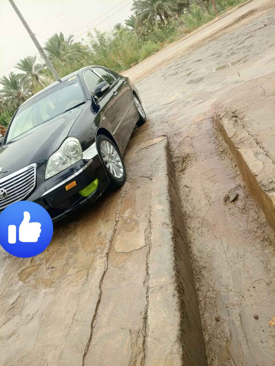 ماجستا • طبق الأصل • شمالي