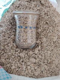 بذر طاطه • طاطه ٨٨ • مبكر