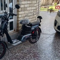 دراجة شحن • جديدة • الراشدية