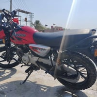 بوكسر • ٢٠٢٢ • جبلي
