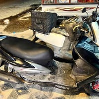 سكنس فحل • ياباني • نوزل خطين