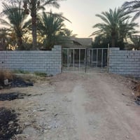 بغداد الخالص الغالبيه • ٤٠٠م • طابو زراعي سند ٢٥