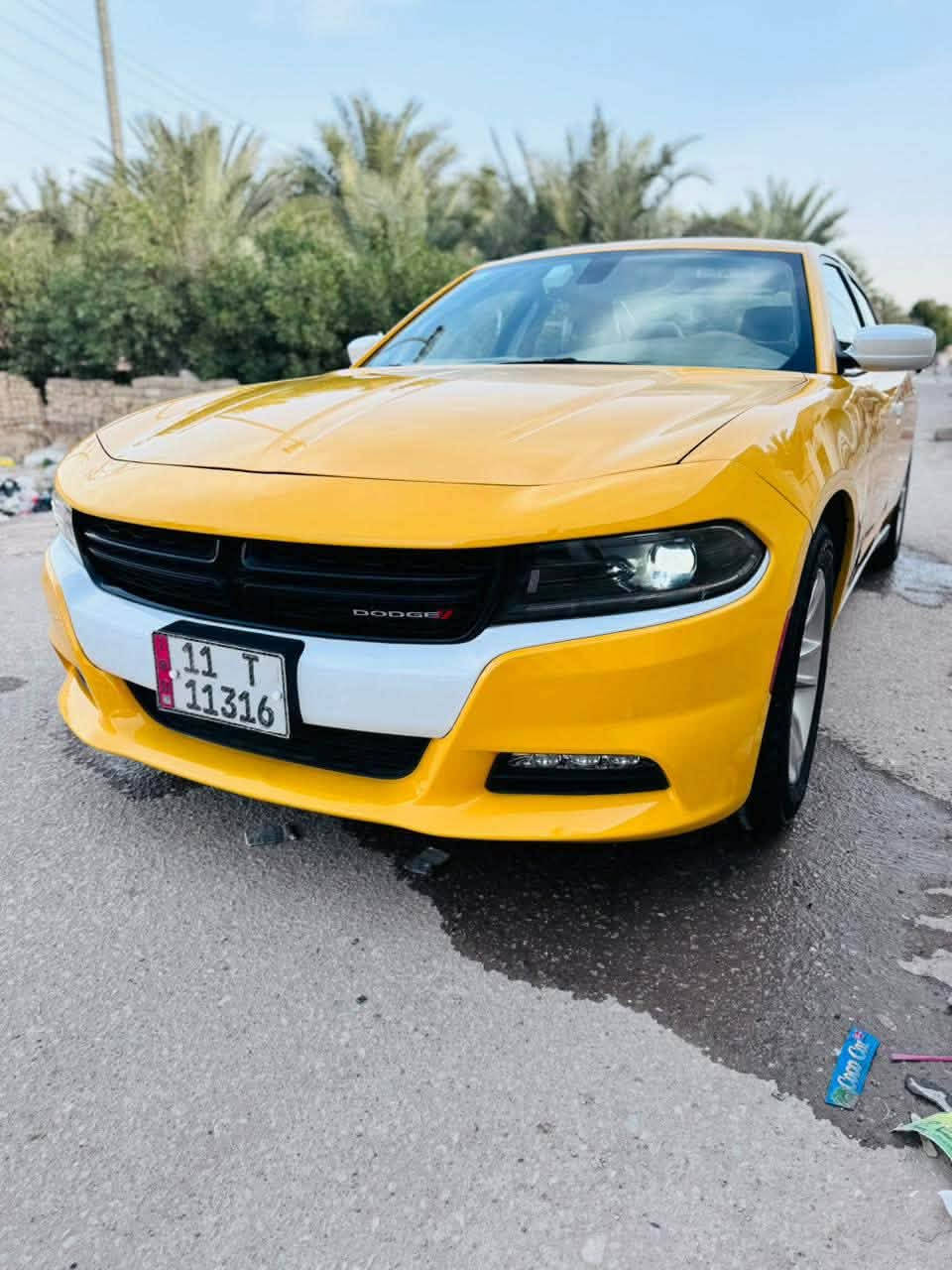 🔺دخول جديد دوج جارجر امريكي🔺

الموديل .2023🪬 اصل 

               (الاصدار الاخيرررر)

              اللون . اصفر  مميز 💛

المسافة المقطوعة 54 mi فقط وظع الوكالة

حجم المحرك 3600

(كفاله السياره)

مواصفات السيارة ..

-كامرة خلفية دوارة HD

-لايتات زنون وكالة

-تشغيل عن بعد 

-كشنات حضن مع تحكم كهرباء

-حساس خلفي

- بلوجكترات زنون لد امامي 

-شاشة كبيره مع نضام GPS

-مري جانبية هيتر مع عاكس الضوء

-نضام USB- كامل 

-تبريد قطعتين

-بصمة ابواب 

ويل 18 تخم تاير جديد 

( رقم بغداد نكليزي بسمي مامشتغله خط ولاعبري صاعد بيها) لون ابيض أصل السياره جديده وجاهزه واحله من الصوره بعد منضومه غاز

مكان السيارة الديوانية 🫵

اي استفسار الاتصال. متوفر وتس اب 

📞‏‪‏‪***********‬‏
