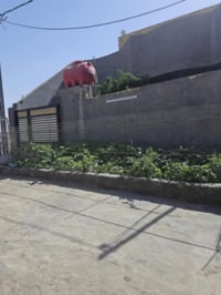 الوردية سيف سعد • ٢٠٠م • طابو
