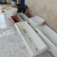 سنادين • ١٢٠سم • بيش