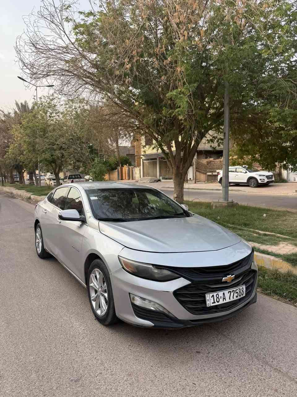 ماليبو • ٢٠٢٠ • نقل باسمي