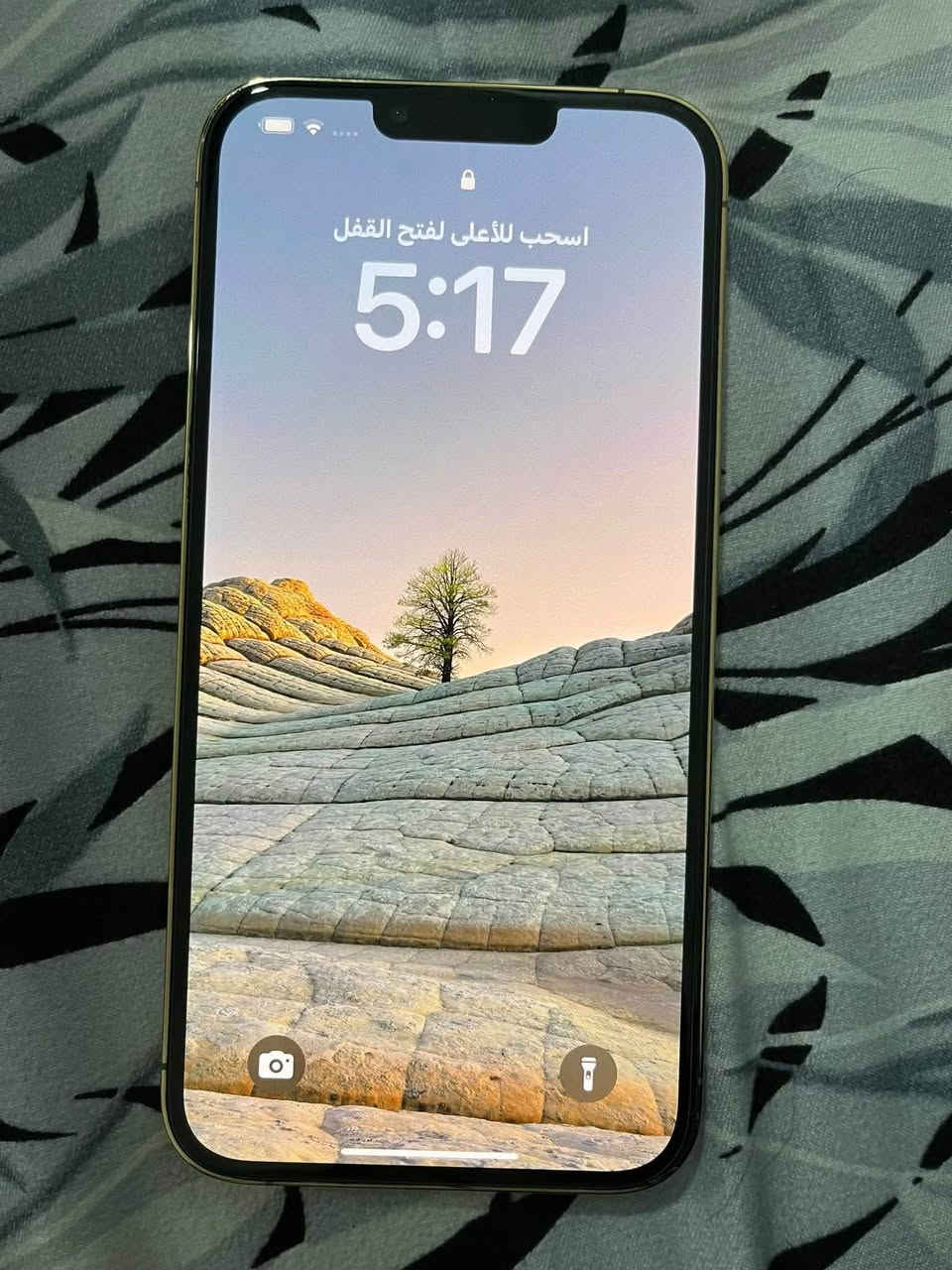 السلام عليكم
ايفون 13 برو ماكس
دبل خط شرق اوسط /ZA
ذاكرة 256
بطارية 100 مبدلة اصلي
للمراوس ايباد او موبايل 
للتواصل ***********
*********** 
تكريت - القادسيه
