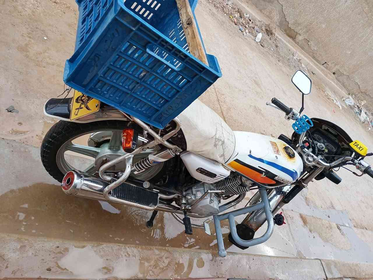 جني عدل • نضيفه • اوراق كامله