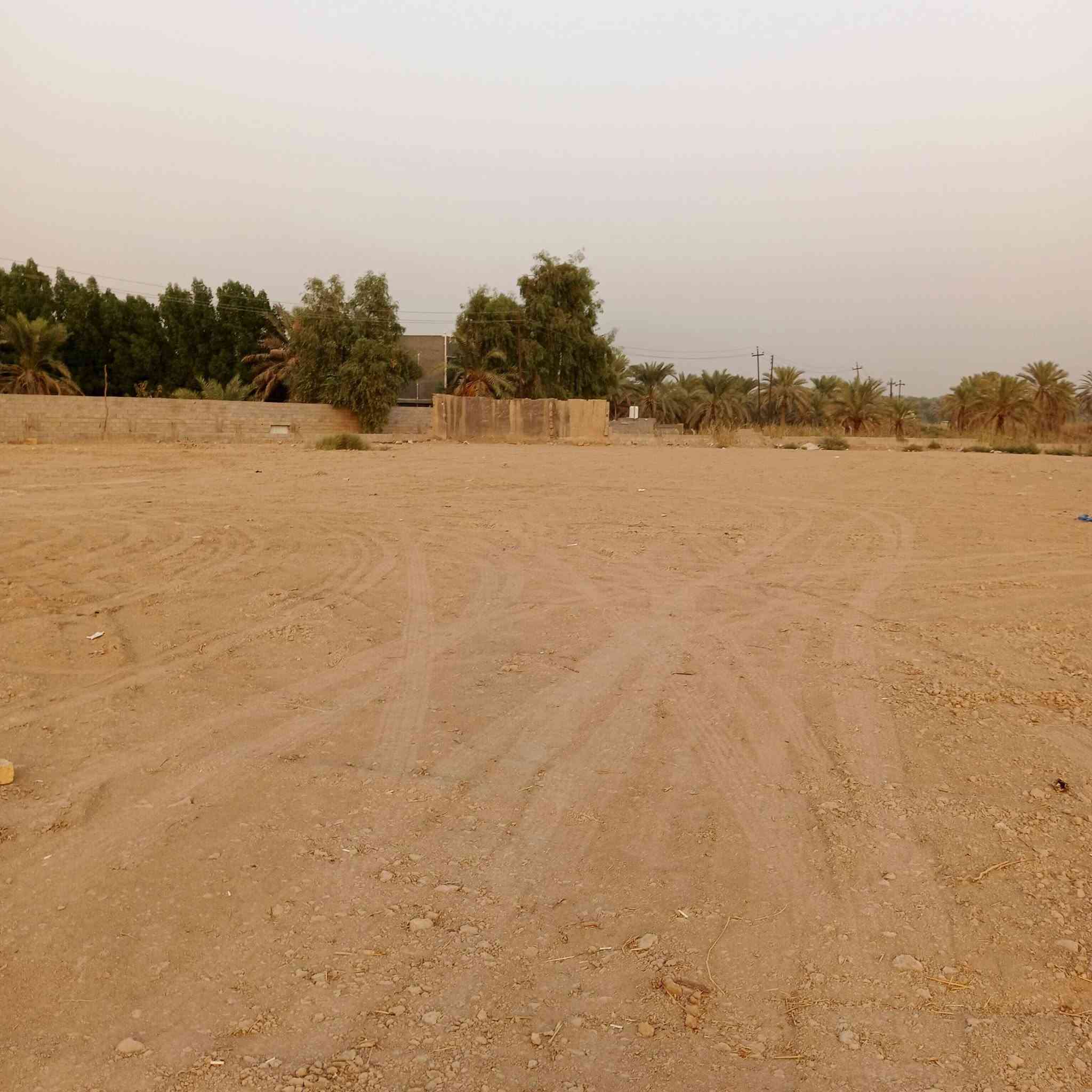 دونم • واجهة ٦٠م • ٣٠٠م للجامعة