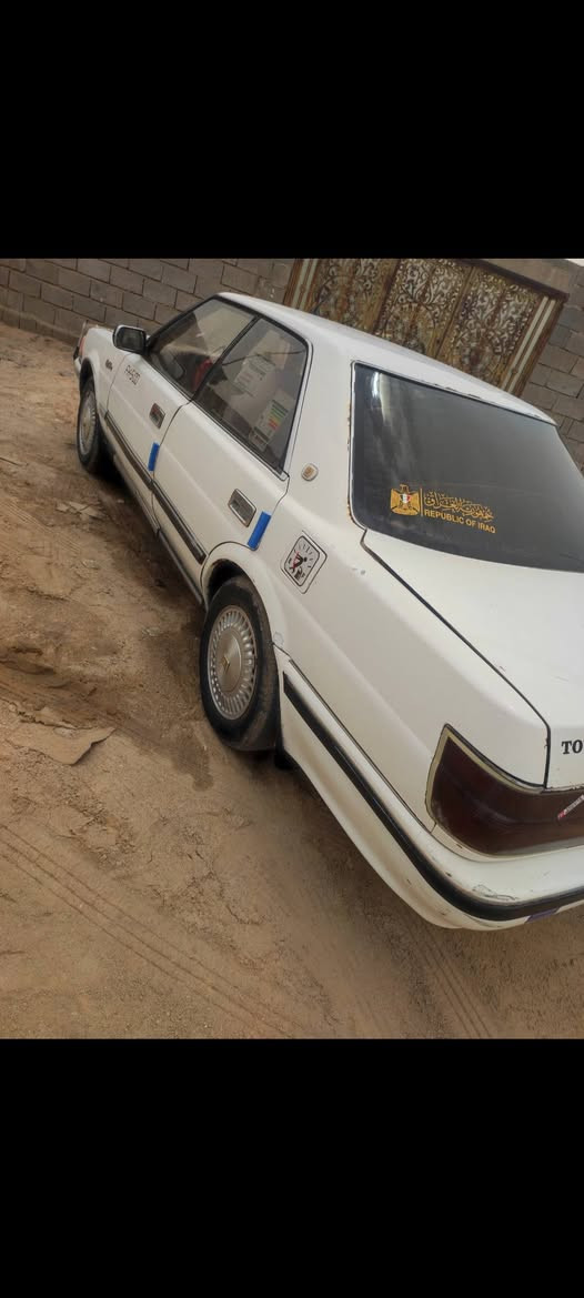 كراون • البصرة • نمر نجف