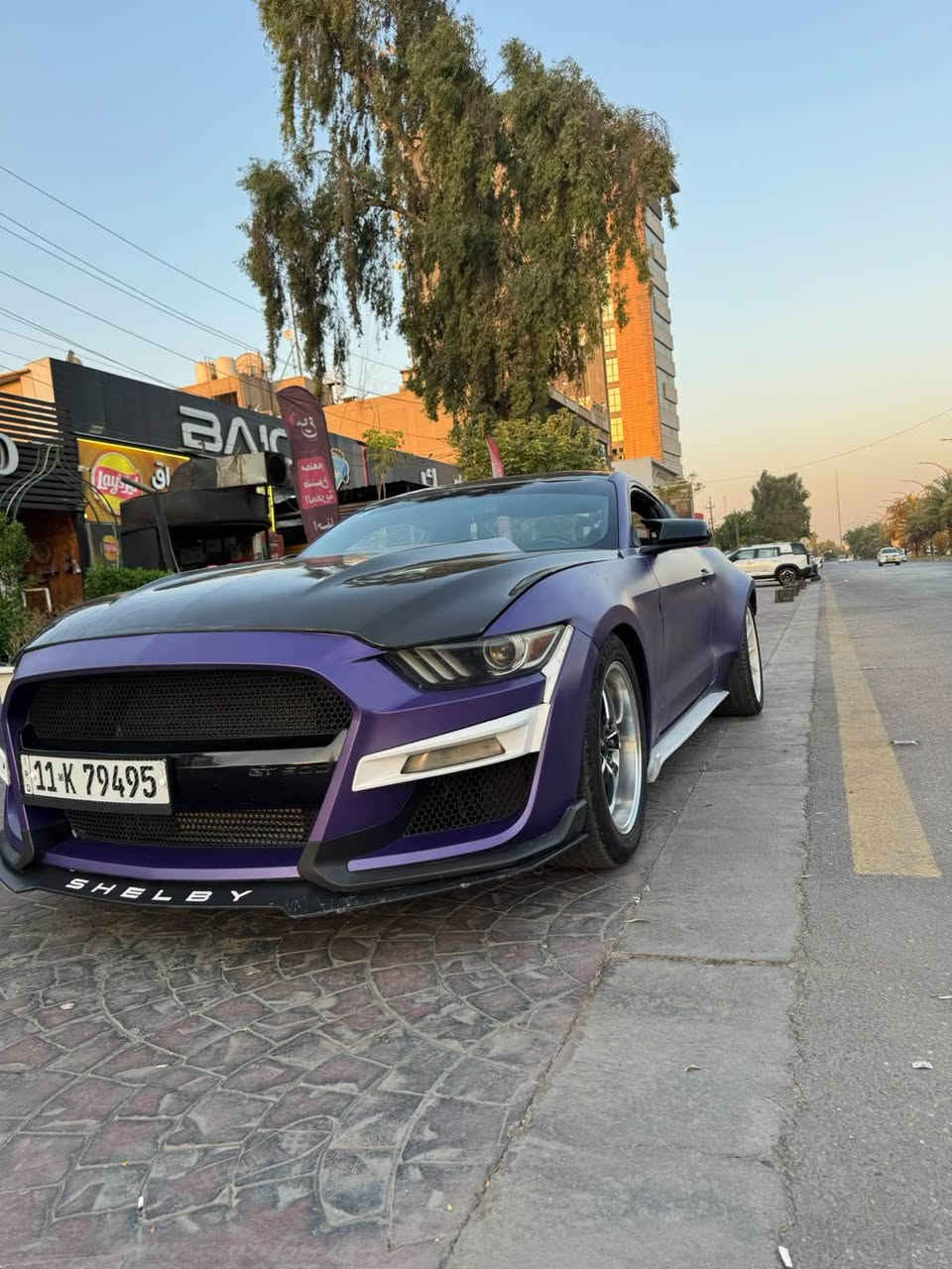 موستنك إيكوبوست • بنفسجي طافي • الفلوجة