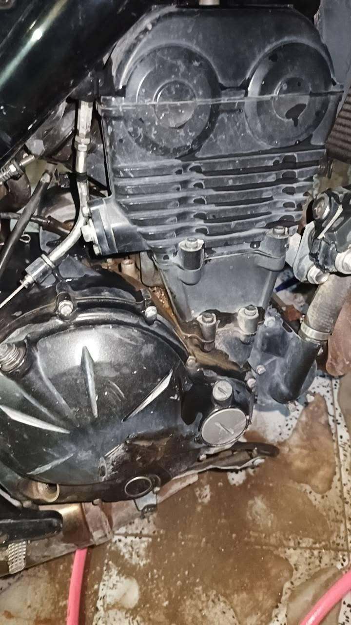 دراجه بطحه للبيع سعر 650دراجه كلك اكفلك عشاير بيها كطع بل ظفيره مكينه جديده شاصي جديد دراجه نظيفه 
***********
