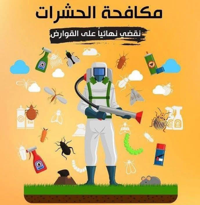 كركوك • مكافحة حشرات • معاينة مجانية