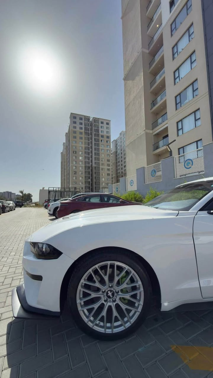 🚗 فورد موستنك EcoBoost Premium 2020
🔺مواصفات السيارة
▪️ محرك 2300 CC تيربو
▪️ كير 10 نمر
▪️ فئة Premium Black Edition
▪️ شاشة كبيرة (كاربلاي)
▪️ كاميرا خلفية
▪️ شفتات ستيرن
▪️ كشنات كهرباء
▪️ تدفئة وتبريد الكشنات
▪️ مرايا هيتر
▪️ تشغيل عن بعد
▪️ تنزيل الجامات عن بعد
▪️ حساسات خلفية
▪️ 5 وضعيات قيادة
▪️ 3 وضعيات ستيرن
▪️ إنارة داخلية متعددة الألوان
🔺 معلومات السيارة
▪️ رقم السليمانية
▪️ تحويل مباشر
▪️ ماشية 123 ألف كم
▪️ كير ومكينة مكفولات
▪️ صدر أمامي وخلفي
▪️ تبريد ثلج
▪️ تخم تايرات جديد
🛠️ الضرر
▪️ حادث خفيف
▪️ قطعتين وربع صبغ فقط
    الجاملغ والبنيد وربع الجاملغ جهة السائق
للاستفسار: ***********
