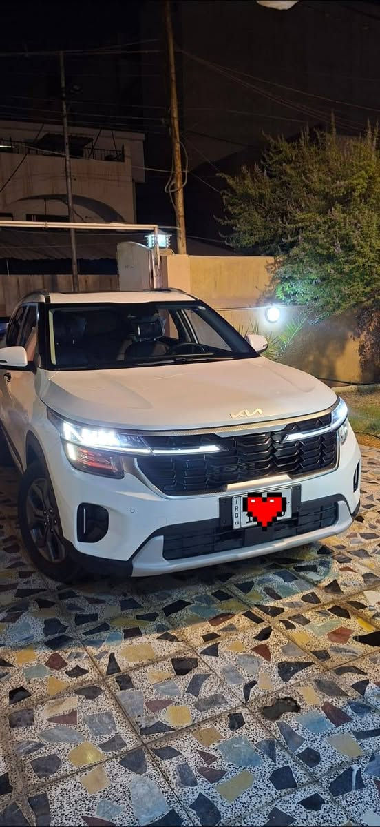 سلتوس • ٢٠٢٥ • رقم اربيل