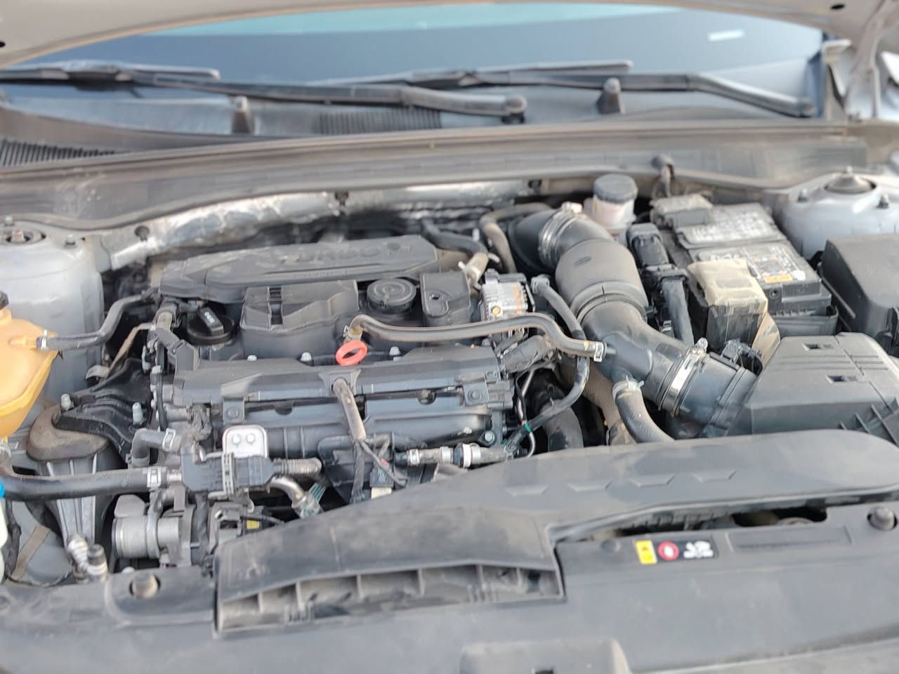 سلام وعليكم
K5موديل2024
GT_Line
فولعدةالفتحة
المكينة 1600تيربو
داخل ماروني
تدفت مقاعد
تبريد قطعتين
رادارات حساسات
تشقيل عن بعد
حادث خارجي
يرباكات كله سليمة
شواصي سليمة
قطعتين تبديل باب وبنيد
صبغ شوية من هلال مال جاملق اليمن الخلفي
والباقي باردوتكحيل
سيارة ماشية 64
سعر175
رقم ***********
